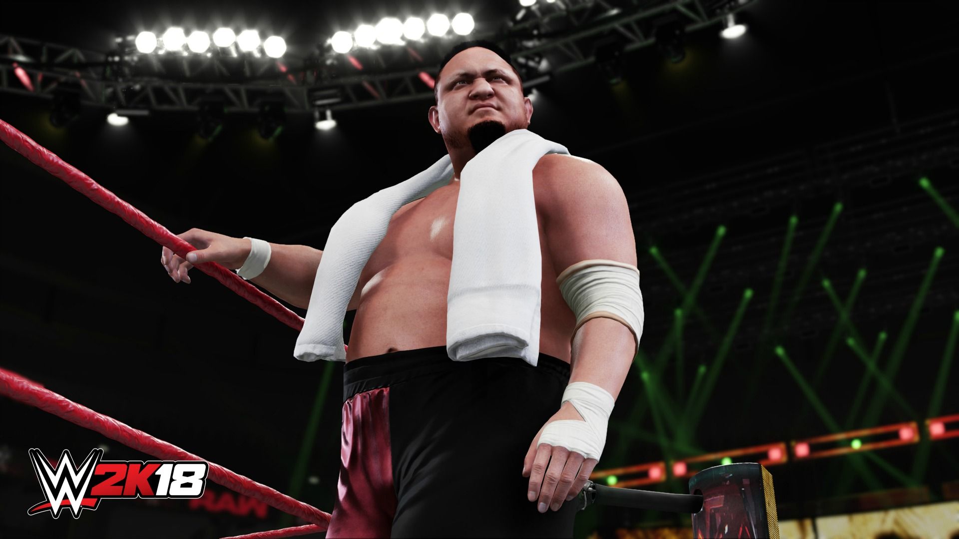 2k18 wwe game for pc